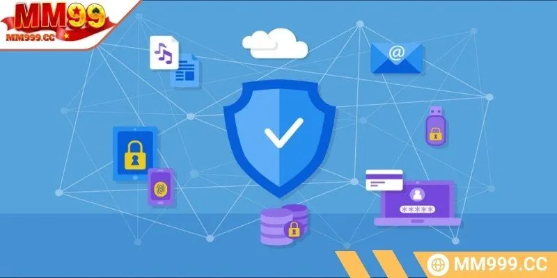 Quy định nhà cái về thu thập thông tin cược thủ